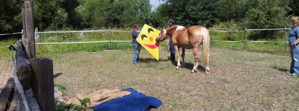 header tierg.Coaching Hundetr